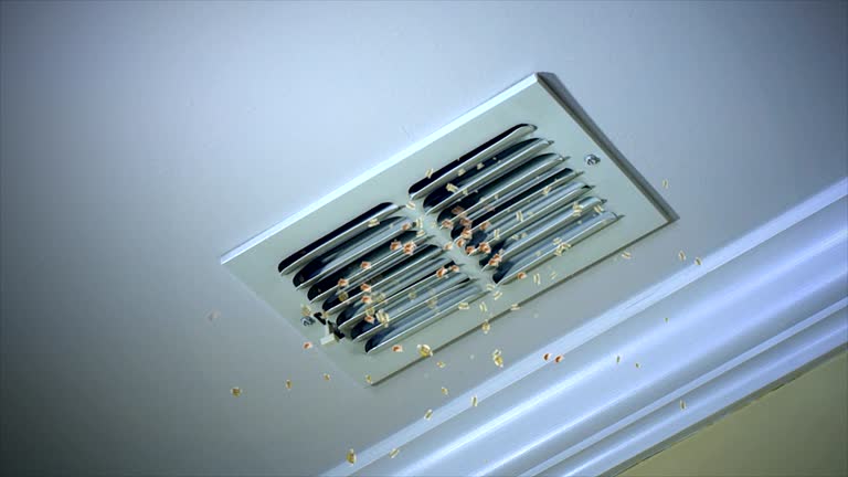 Best Residential Air Duct Cleaning  in Harbor Beach, MI